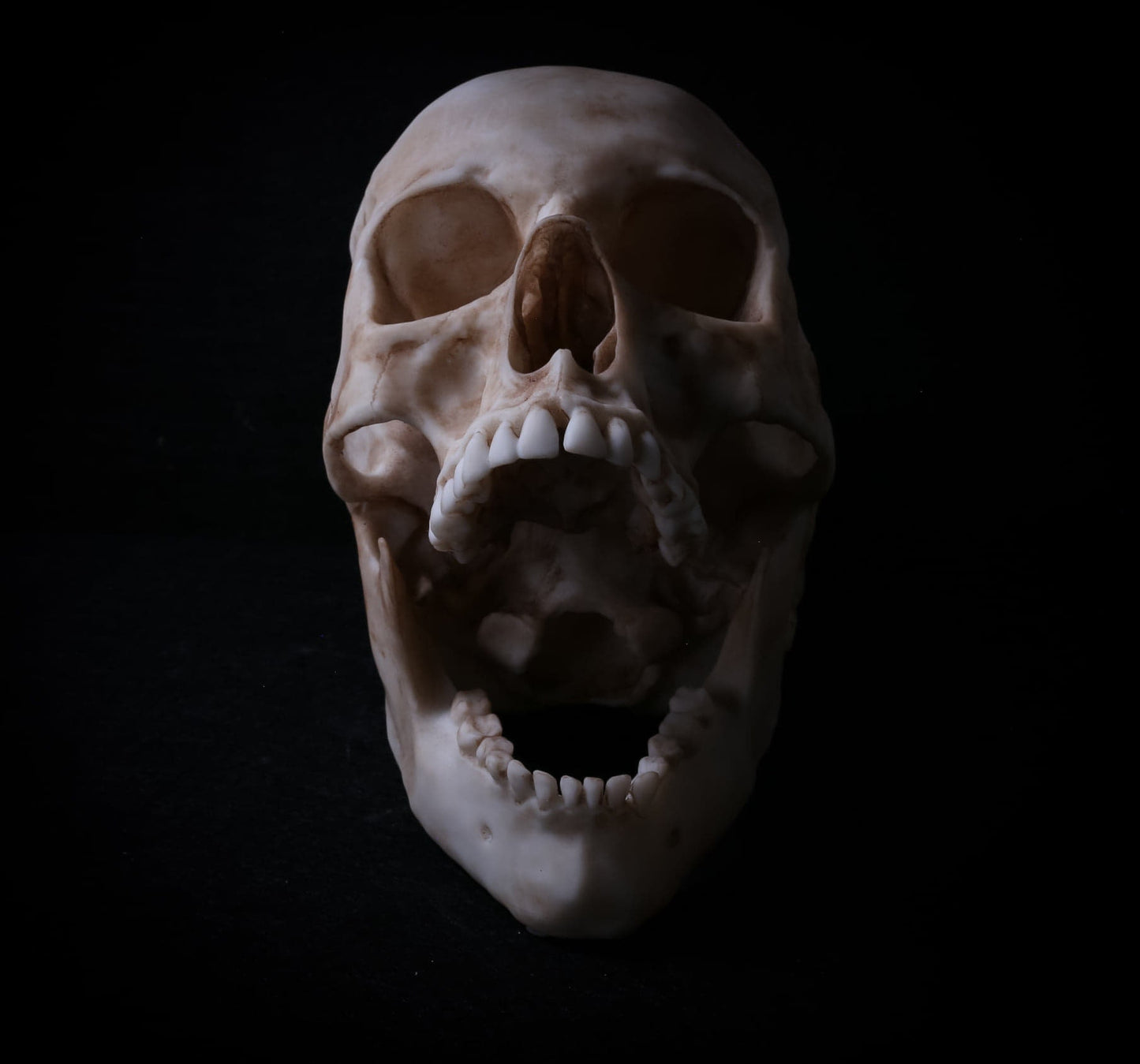 Human Skull - life sized Male adult -Replica - High Quality Piece - FREE delivery world wide!