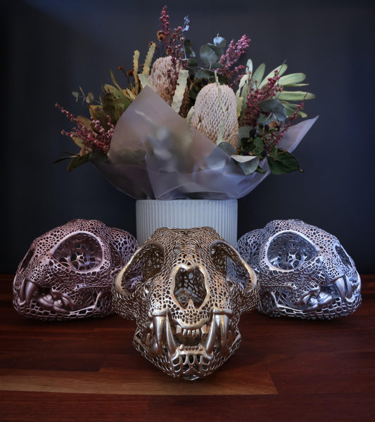 filigree Bobcat Skull - Full Sized Skull - Free World Wide Delivery.