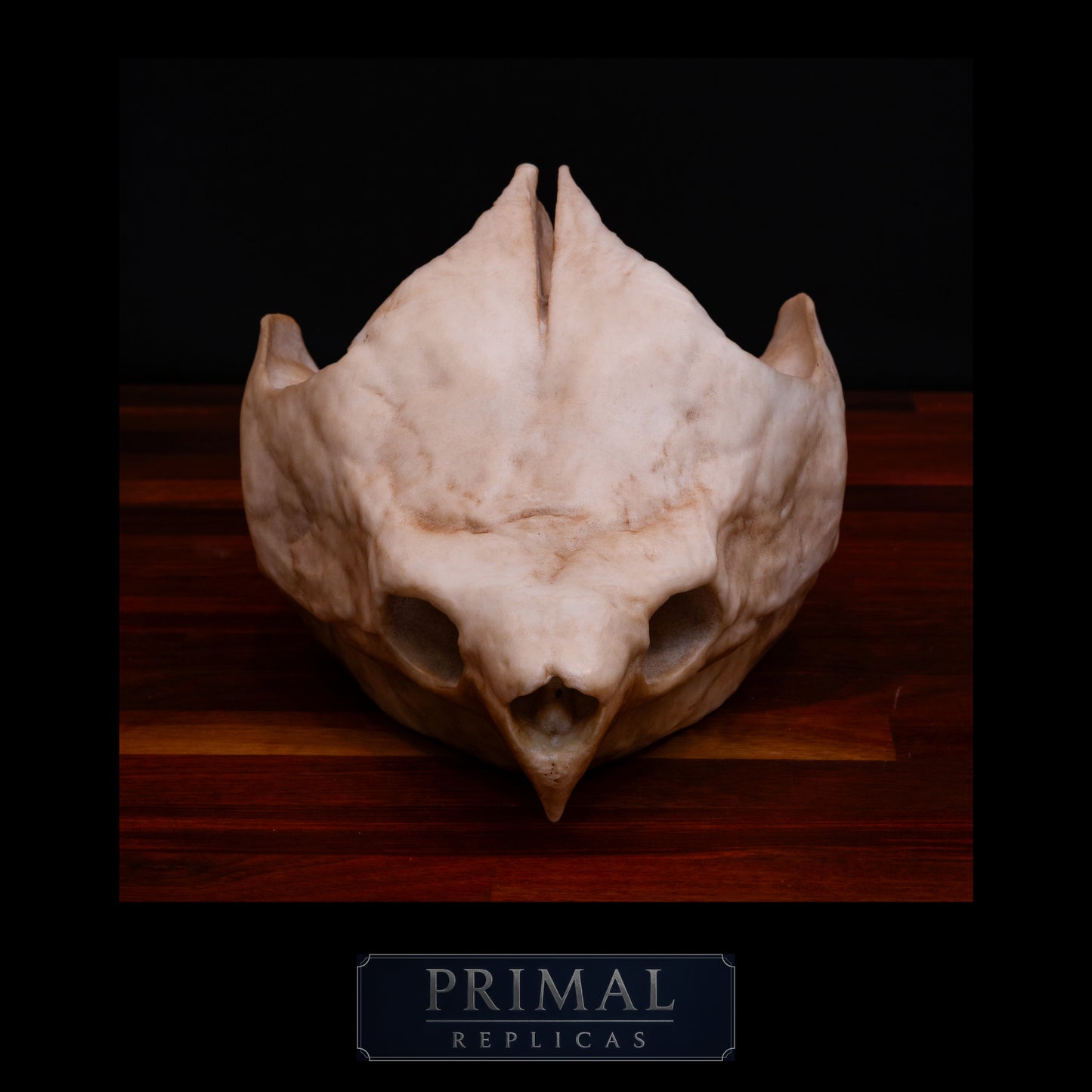 Alligator Snapping Turtle Skull Replica