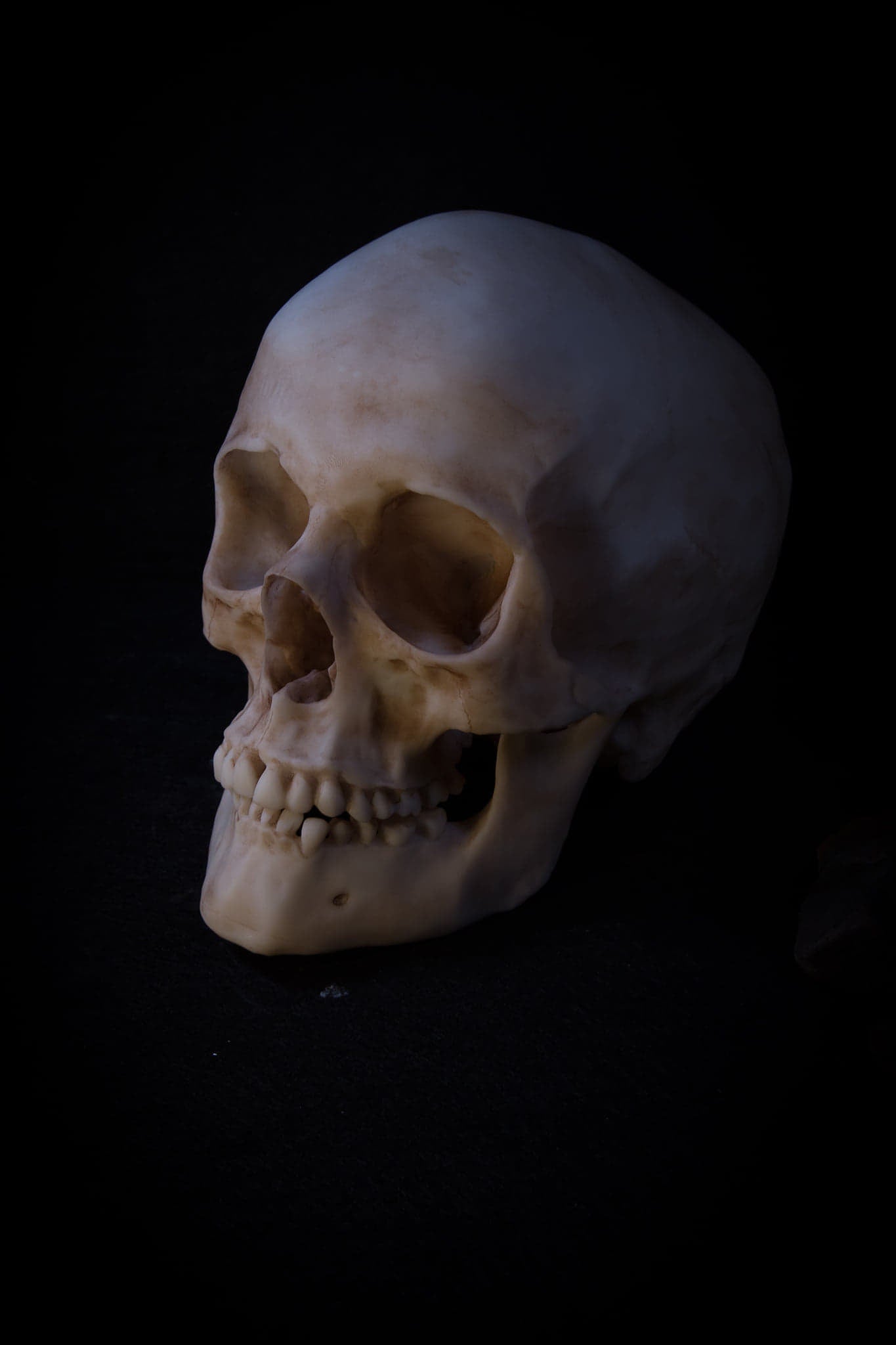 Human Skull - life sized Male adult -Replica - High Quality Piece - FREE delivery world wide!