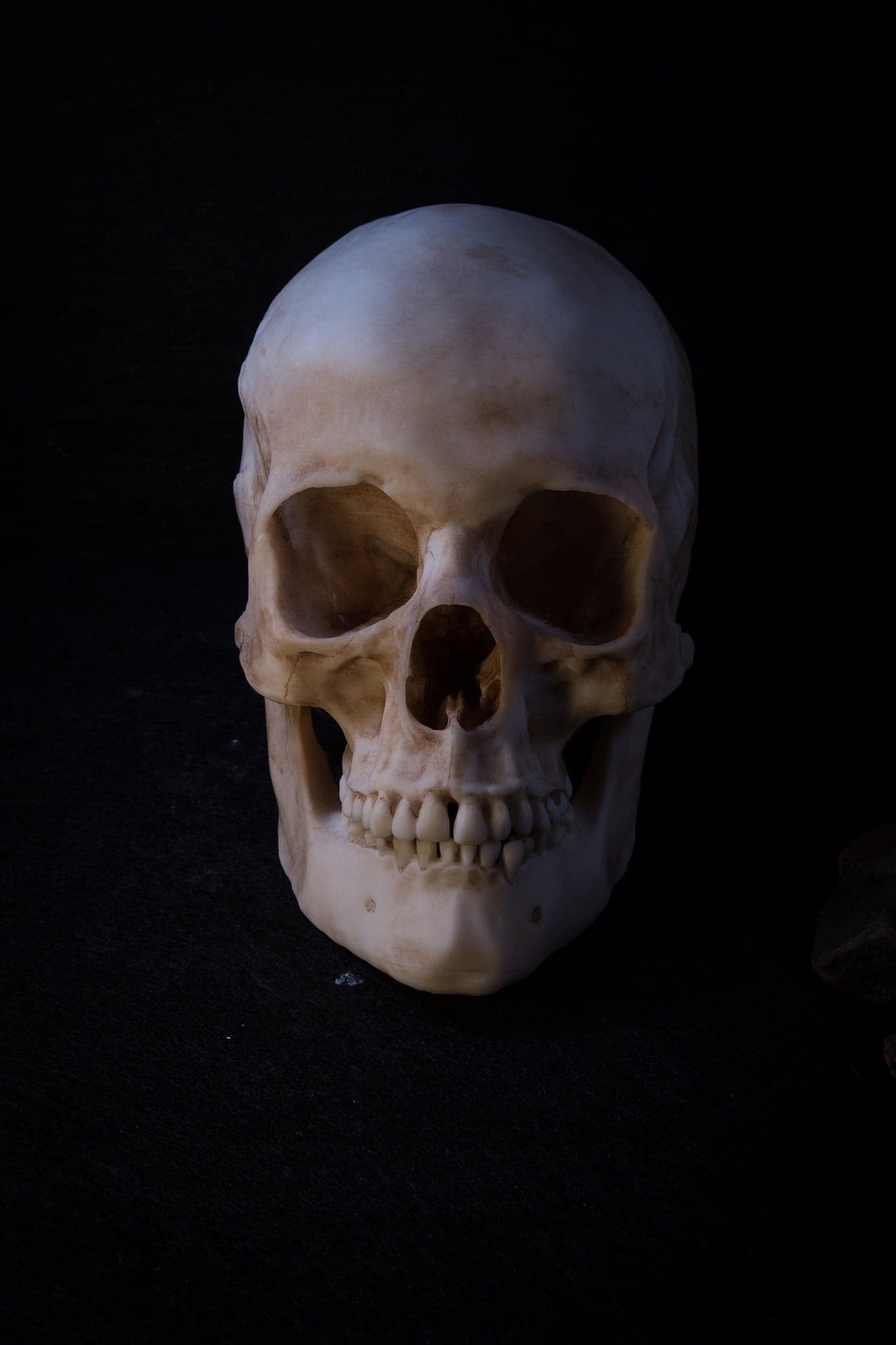 Human Skull - life sized Male adult -Replica - High Quality Piece - FREE delivery world wide!