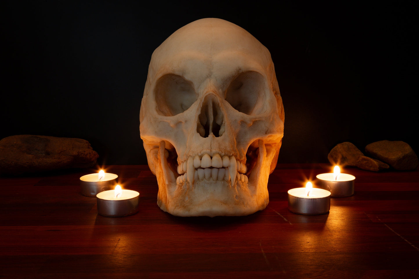 Vampire Skull - life sized - super detailed - Resin Printed High Quality Piece.