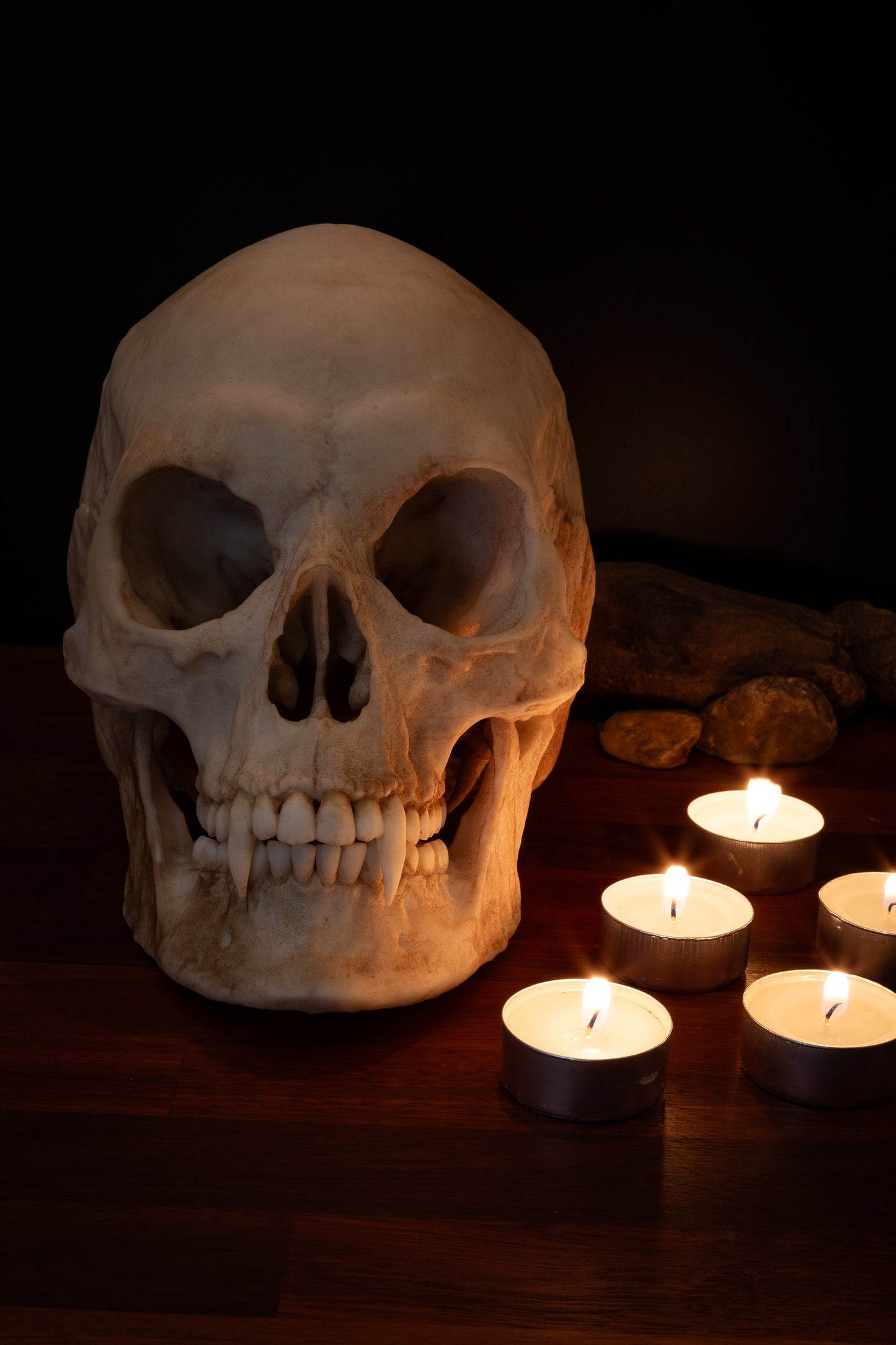 Vampire Skull - life sized - super detailed - Resin Printed High Quality Piece.