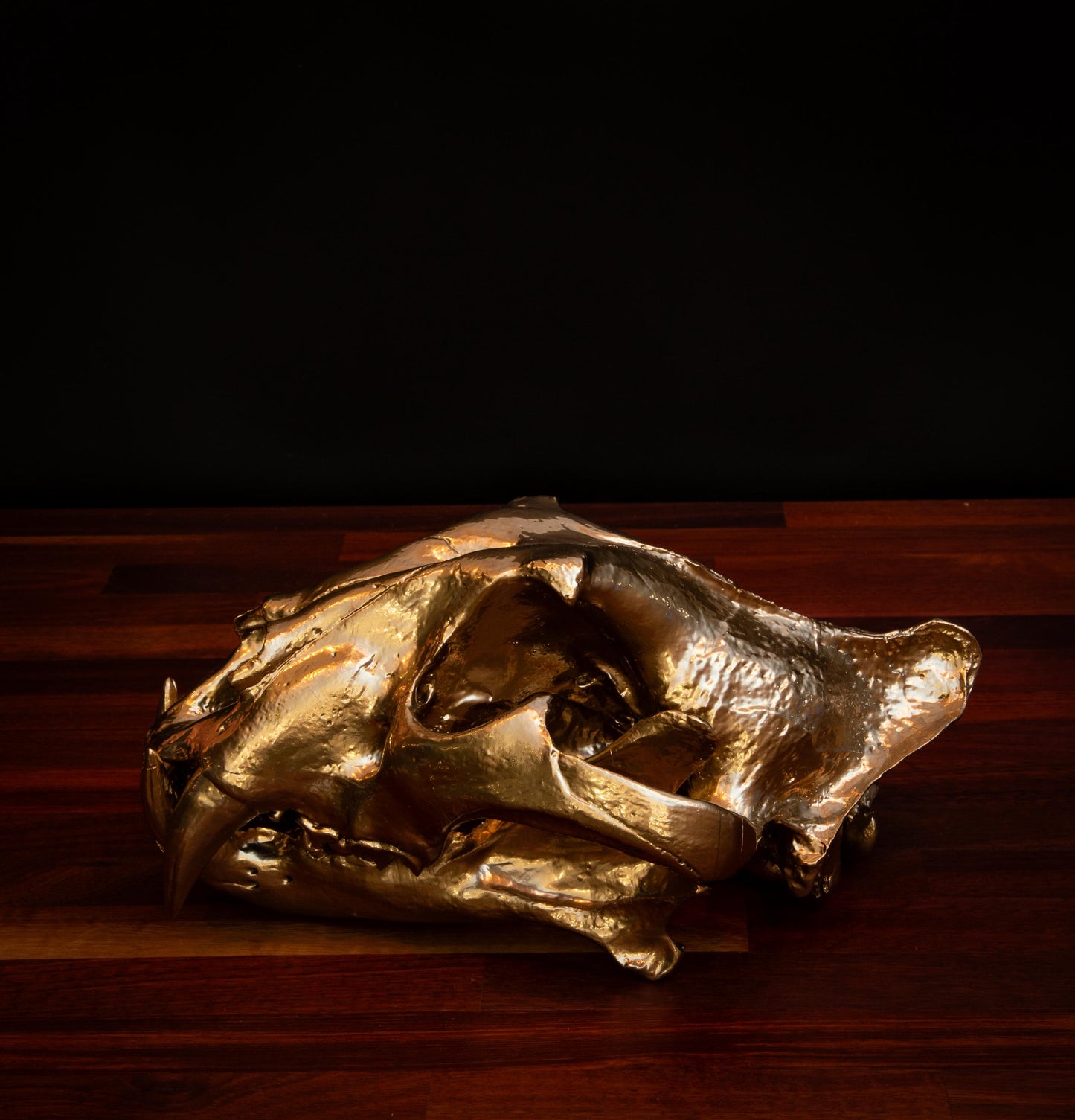 Gold Tiger Skull- Full sized replica skull - High Quality - FREE world wide shipping!