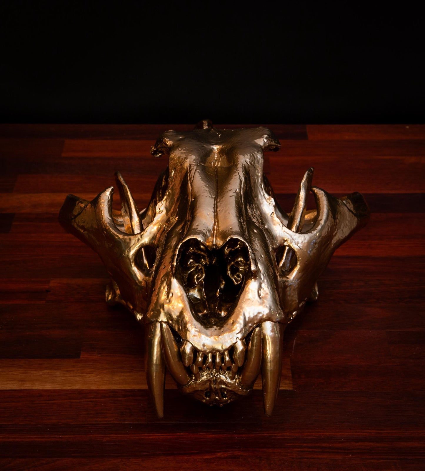 Gold Tiger Skull- Full sized replica skull - High Quality - FREE world wide shipping!