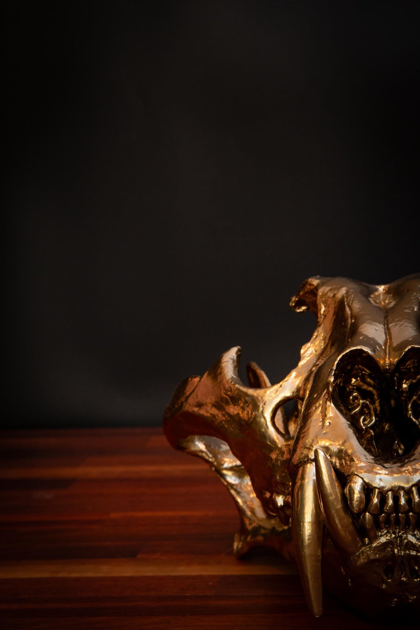 Gold Tiger Skull- Full sized replica skull - High Quality - FREE world wide shipping!
