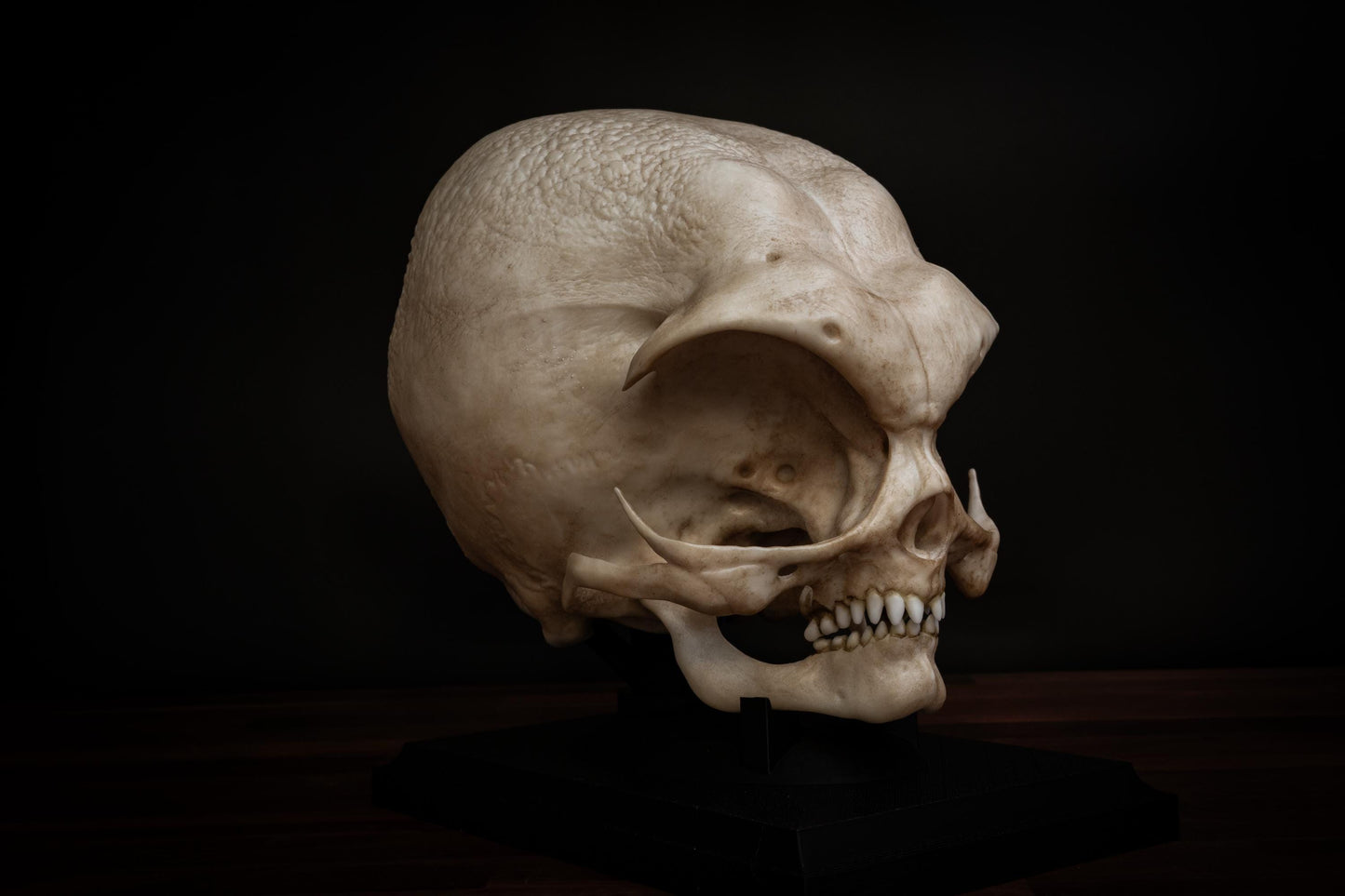 Alien Skull (Grey alien) - Life sized - Super detailed High Quality Piece - Includes FREE shipping & display base.