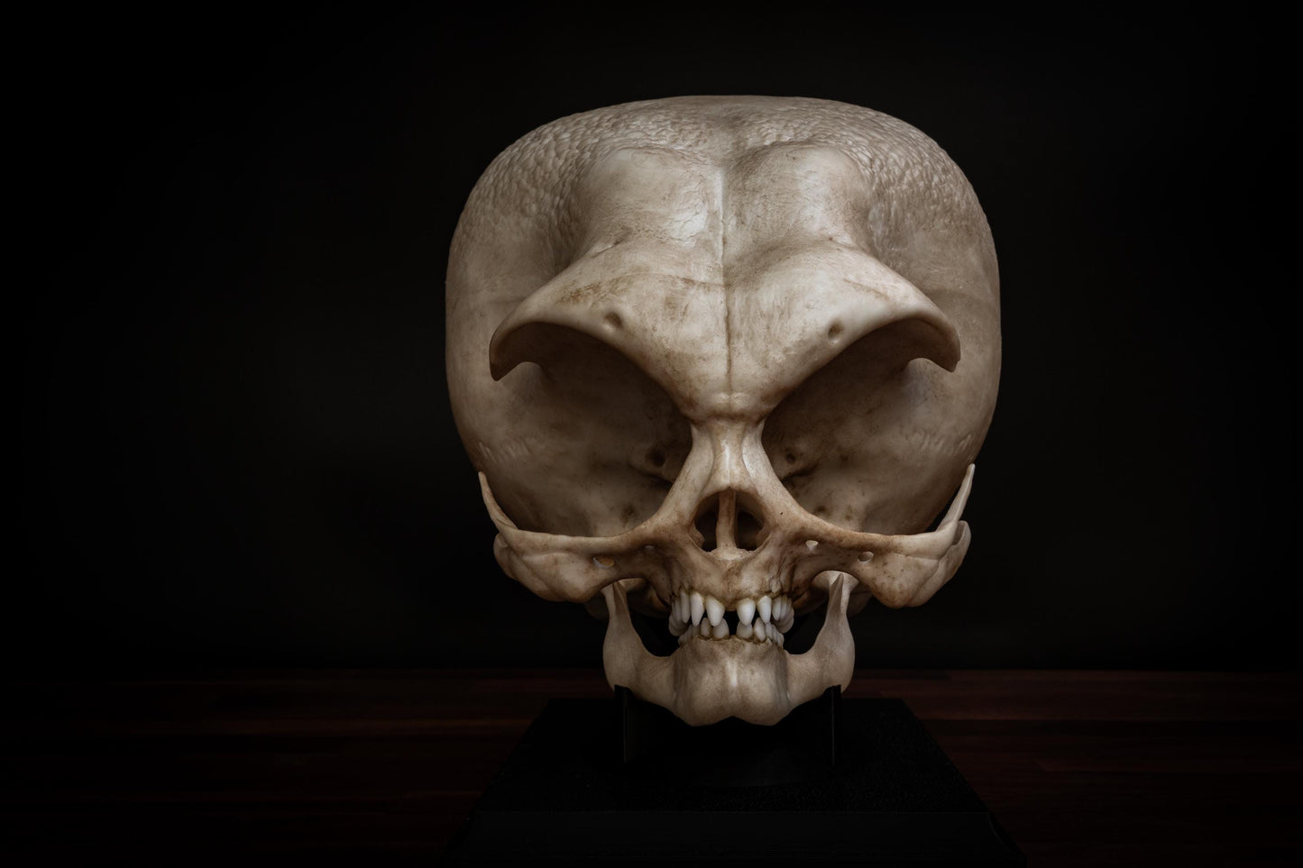 Alien Skull (Grey alien) - Life sized - Super detailed High Quality Piece - Includes FREE shipping & display base.