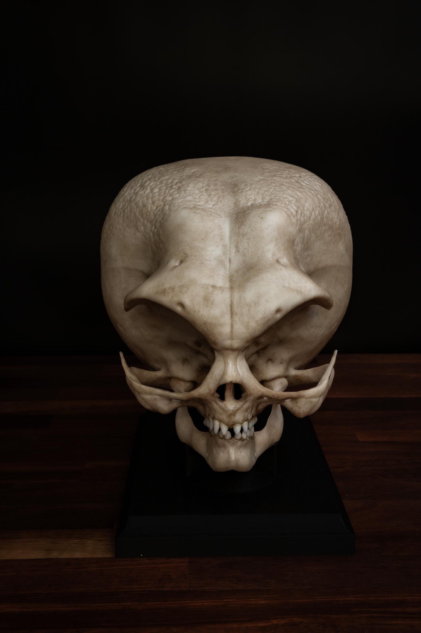Alien Skull (Grey alien) - Life sized - Super detailed High Quality Piece - Includes FREE shipping & display base.