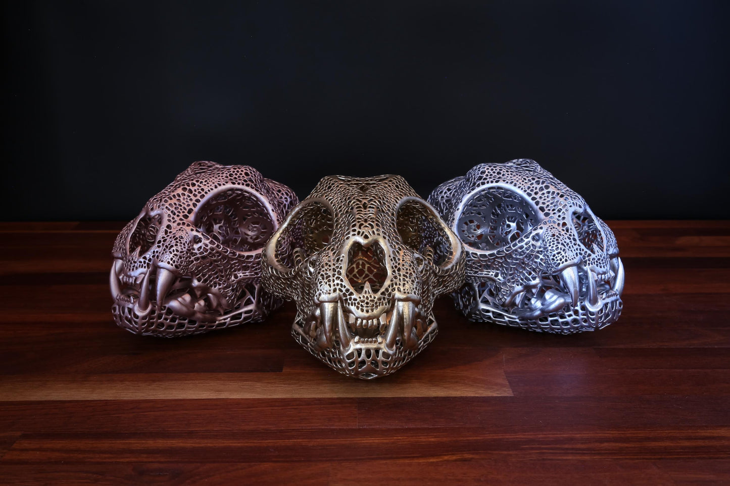 filigree Bobcat Skull - Full Sized Skull - Free World Wide Delivery.
